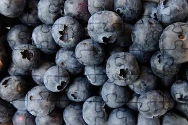 Blaubeeren