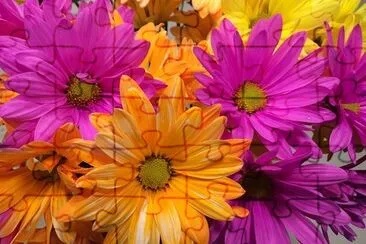 Pink Orange Yellow Bloom jigsaw puzzle