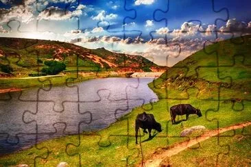 River Landscape jigsaw puzzle