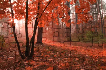 Misty autumn forest with red foliage on the trees jigsaw puzzle