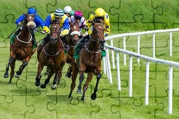 Galloping race Horses in racing competition jigsaw puzzle