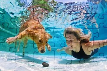 Mulher brincando com cachorrinho Retriever na piscina