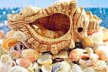 Seashells on ocean beach & blue sea sunlight jigsaw puzzle