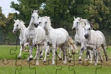 Herd horses running on meadow jigsaw puzzle