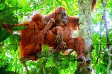 Female and cute baby monkey breast feeding jigsaw puzzle