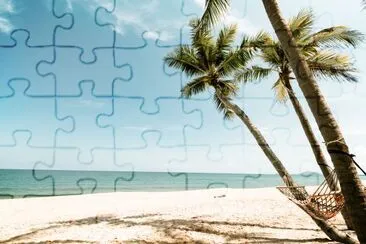 Coconut palm tree on tropical beach in summer jigsaw puzzle