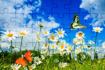 beautiful different butterflies flutter in a brigh jigsaw puzzle