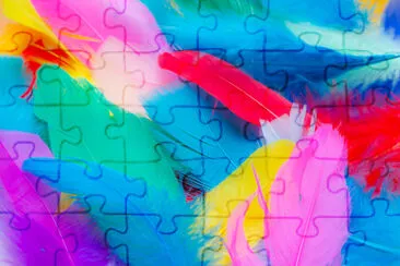 Close up to bright colorful feathers background jigsaw puzzle