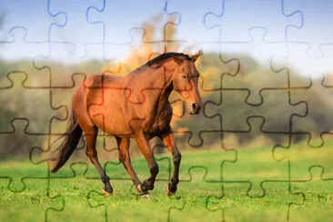 Horse in motion in autumn landscape jigsaw puzzle