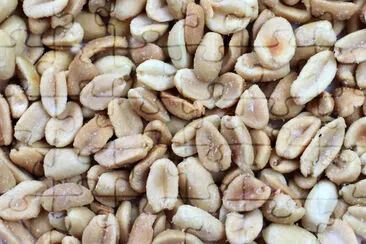 peeled grains peanuts as an element of treats jigsaw puzzle