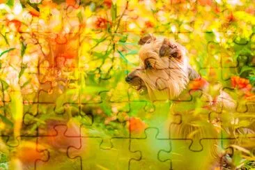 Brown Long Coat Dog Near Green Plants jigsaw puzzle