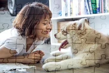 Woman Lying on the Floor Beside Siberian Husky jigsaw puzzle