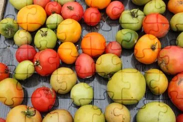 Delicious Tomatoes jigsaw puzzle