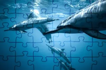 Pod of Dolphines jigsaw puzzle