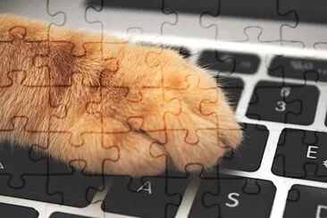 Cat over Keyboard jigsaw puzzle