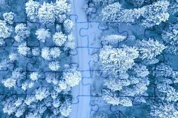 Aerial Photo of Snow Covered Trees jigsaw puzzle