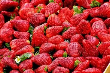 Lot de fraises