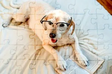 Dog With Glasses jigsaw puzzle