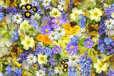 Bed of Flowers jigsaw puzzle