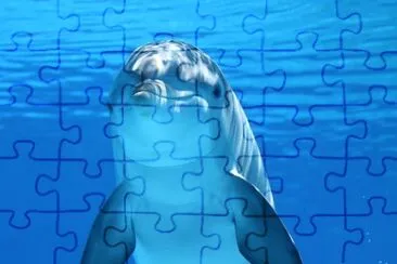 Cute Dolphin jigsaw puzzle