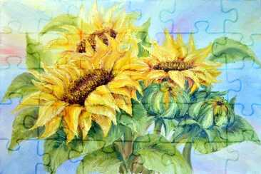 Sunflower jigsaw puzzle