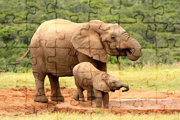 Mother and Baby African Elephants jigsaw puzzle