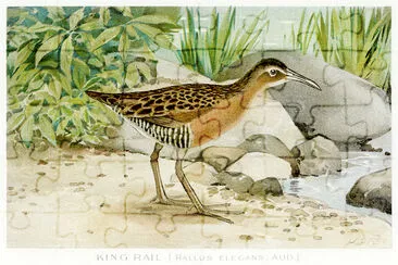 King Rail jigsaw puzzle