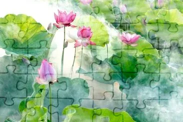 Lotus summer jigsaw puzzle