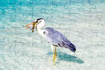 Bird Holding Fish in Sea jigsaw puzzle