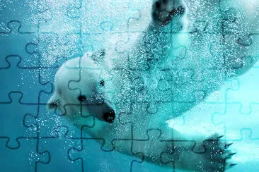 Polar Bear Underwater jigsaw puzzle