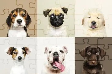 6 Adorable Puppies jigsaw puzzle