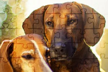 2 Dogs Portrait jigsaw puzzle