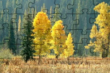 Cattails, Forests and Fall Color jigsaw puzzle