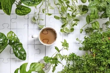 Coffee with houseplants jigsaw puzzle