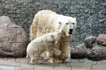 Polar Bear Cub and Mother jigsaw puzzle