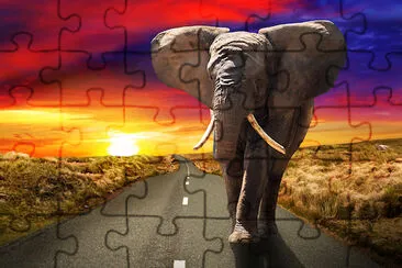 Elephant Walking on the Road jigsaw puzzle