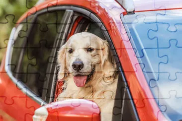 Golden Retriever Driving a Car jigsaw puzzle