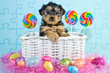 Easter Puppy jigsaw puzzle