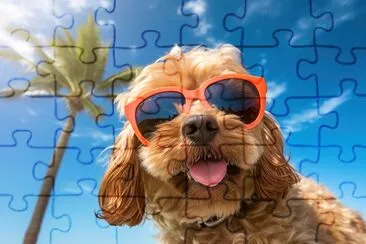 Sunglasses Summer Dog jigsaw puzzle