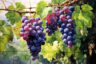 Vineyard Grapes jigsaw puzzle