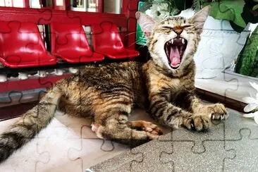 A yawning Cat jigsaw puzzle