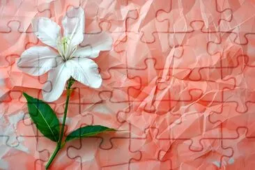 Jasmine Flower Paper jigsaw puzzle