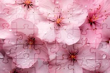 Sakura Blossom Flower jigsaw puzzle