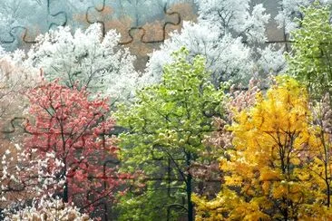 Autumn Forest jigsaw puzzle