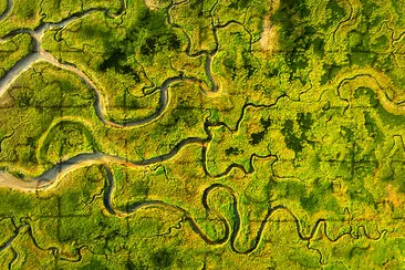 Meandering River jigsaw puzzle