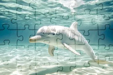 Graceful Albino Dolphin jigsaw puzzle