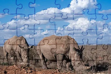 Toy jigsaw puzzle