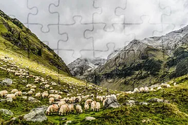 Imagem jigsaw puzzle