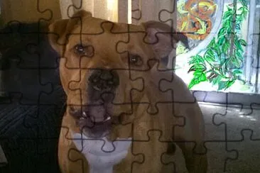 My Bestist Friend jigsaw puzzle