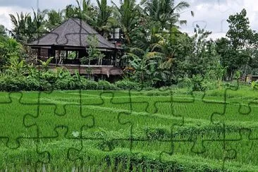 Ubud